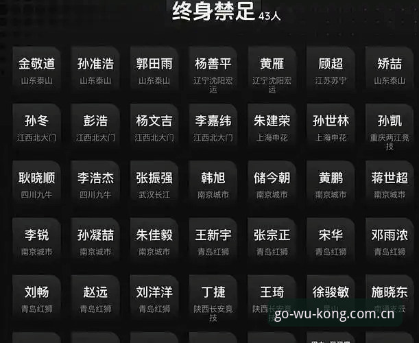 足协第三批禁足名单完整解读：从终身禁赛到行业整顿的实用指南
